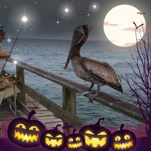 Meet your Posher, Jeanna